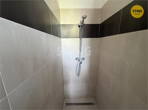 Pronájem obchodních prostor, 350 m² 16
