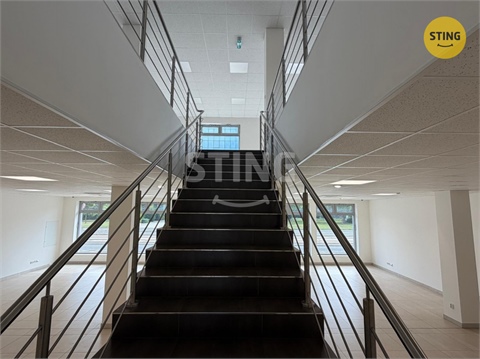 Pronájem obchodních prostor, 350 m² - 10