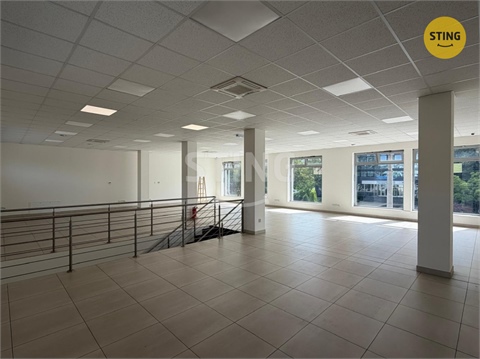 Pronájem obchodních prostor, 350 m² 6