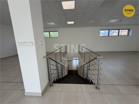 Pronájem obchodních prostor, 350 m² 10