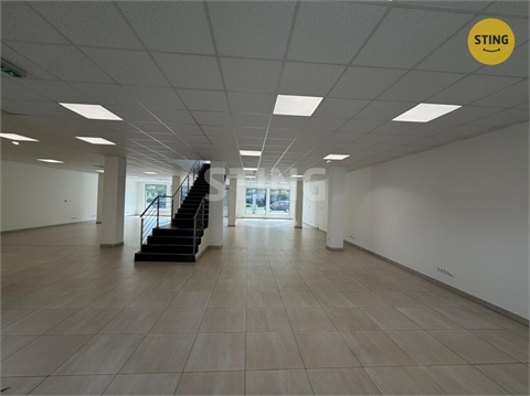 Pronájem obchodních prostor, 350 m² 8