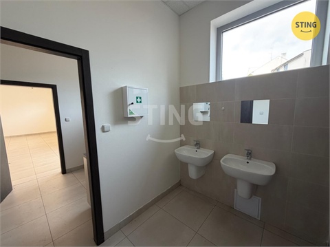 Pronájem obchodních prostor, 350 m² - 14