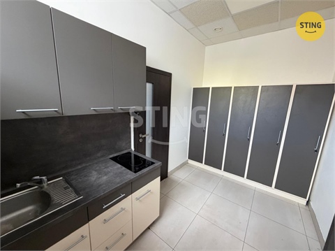 Pronájem obchodních prostor, 350 m² 14