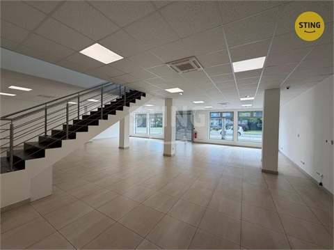 Pronájem obchodních prostor, 350 m² - 4