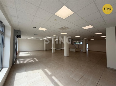 Pronájem obchodních prostor, 350 m² - 12