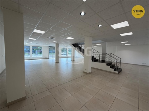 Pronájem obchodních prostor, 350 m² - 6