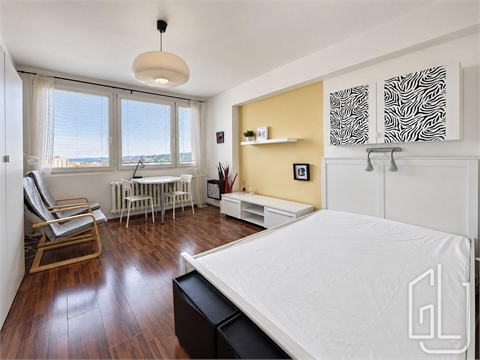 Pronájem bytu 1kk, 44 m² 0