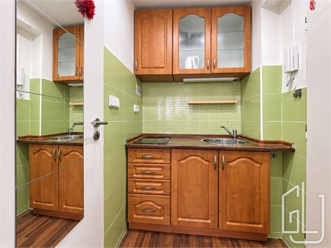 Pronájem bytu 1kk, 44 m² 2