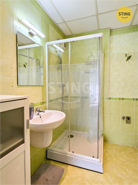 Prodej bytu 3+1, 75 m² 12
