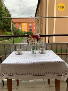 Pronájem bytu 1+1, 46 m² 8