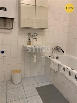 Pronájem bytu 1+1, 46 m² 10