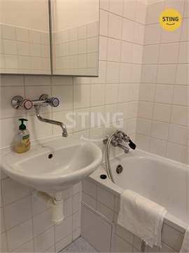 Pronájem bytu 1+1, 46 m² - 10