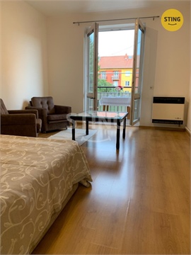 Pronájem bytu 1+1, 46 m² 6