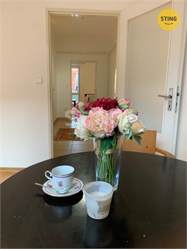 Pronájem bytu 1+1, 46 m² 2