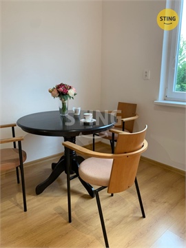Pronájem bytu 1+1, 46 m² - 0