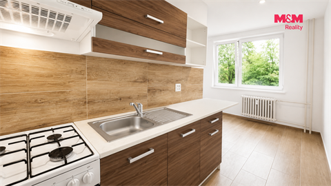 Pronájem bytu 1+1, 60 m² 2