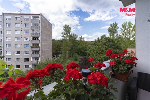 Prodej bytu 3+1, 68 m² 20