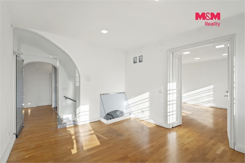 Prodej rodinného domu, 383 m² - 8