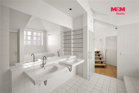 Prodej rodinného domu, 383 m² - 10