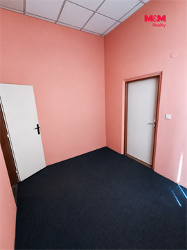 Pronájem obchodních prostor, 190 m² - 2