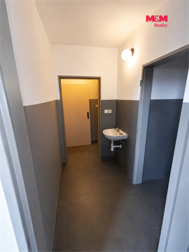 Pronájem obchodních prostor, 190 m² - 4