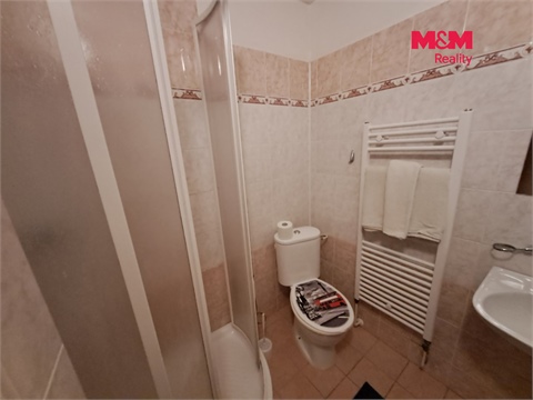 Prodej ubytování, 300 m² 16