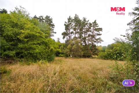 Prodej chaty / chapuly, 21 m² - 4