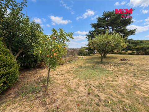Prodej zahrady, 323 m² 4