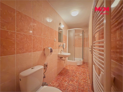 Pronájem ubytování, 650 m² 20