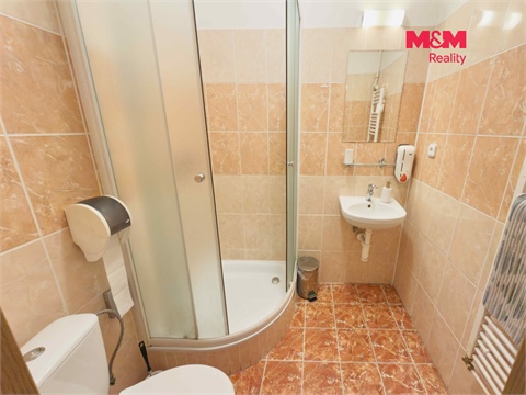 Pronájem ubytování, 650 m² - 14