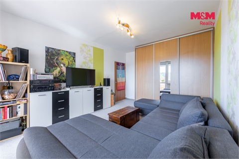 Prodej bytu 3+1, 60 m² 6