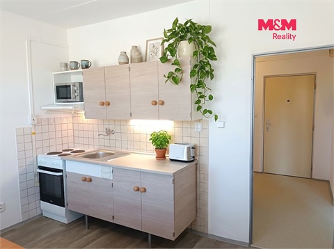 Pronájem bytu 1+1, 41 m² - 0