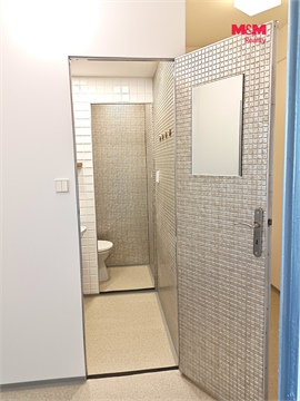 Pronájem bytu 1+1, 41 m² 6