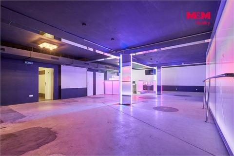 Pronájem obchodních prostor, 365 m² - 6