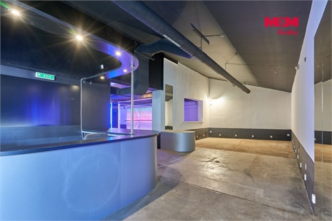 Pronájem obchodních prostor, 365 m² - 8