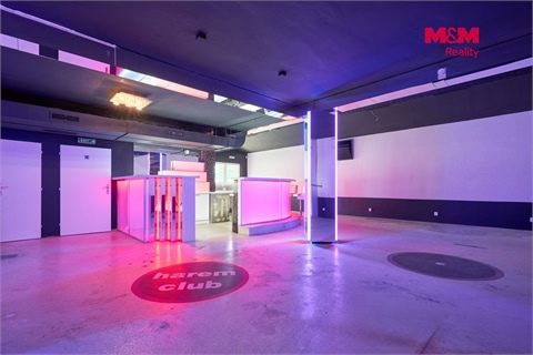 Pronájem obchodních prostor, 365 m² - 4