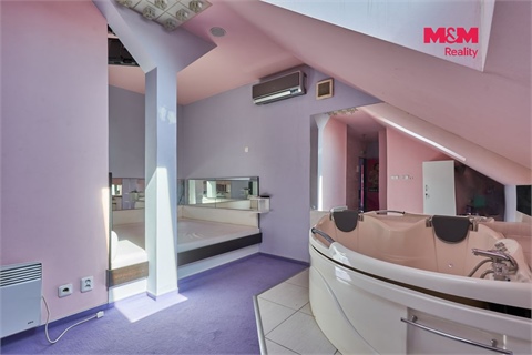 Pronájem obchodních prostor, 365 m² - 12