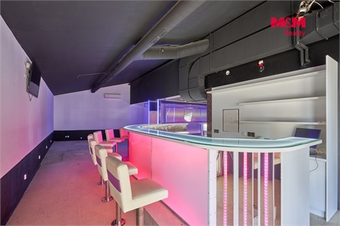 Pronájem obchodních prostor, 365 m² 4