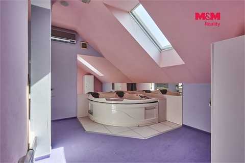 Pronájem obchodních prostor, 365 m² 12