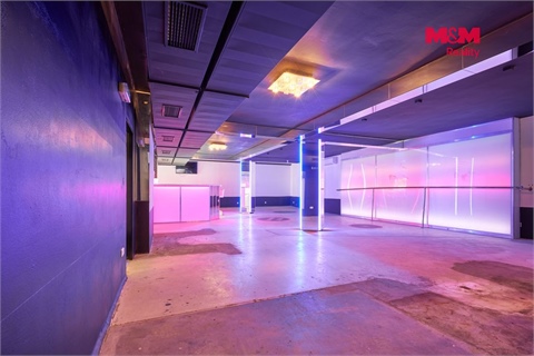 Pronájem obchodních prostor, 365 m² 8