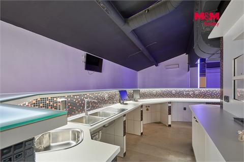 Pronájem obchodních prostor, 365 m² 6