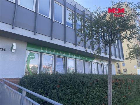 Pronájem obchodních prostor, 48 m² 12