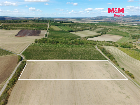 Prodej zemědělské půdy, 9 598 m² 2