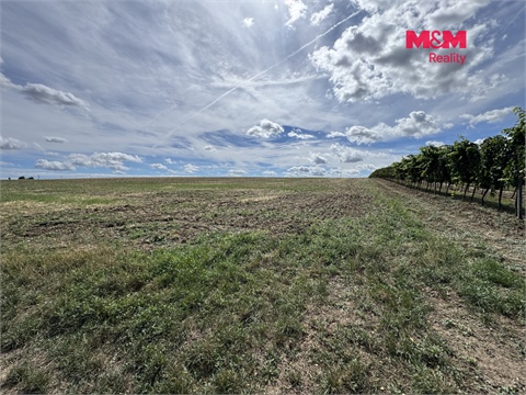 Prodej zemědělské půdy, 9 598 m² 8