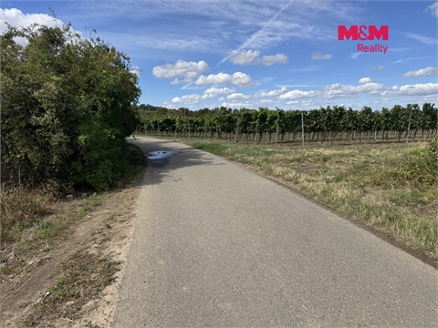 Prodej zemědělské půdy, 9 598 m² - 8