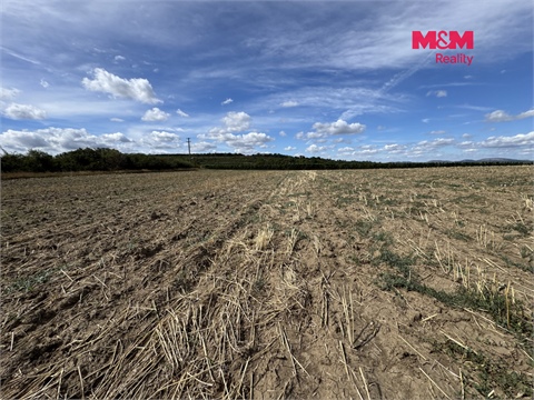 Prodej zemědělské půdy, 9 598 m² 6