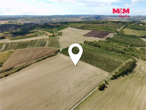 Prodej zemědělské půdy, 9 598 m² - 2