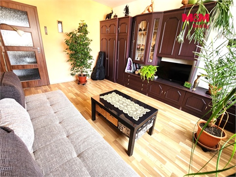 Prodej bytu 1+1, 41 m² 6