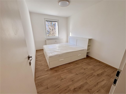 Pronájem bytu 4+1, 100 m² - 4