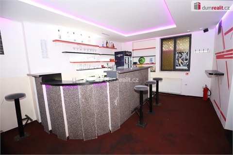 Prodej ubytování, 330 m² 8